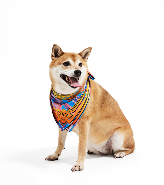 TO THE STARS Bandana