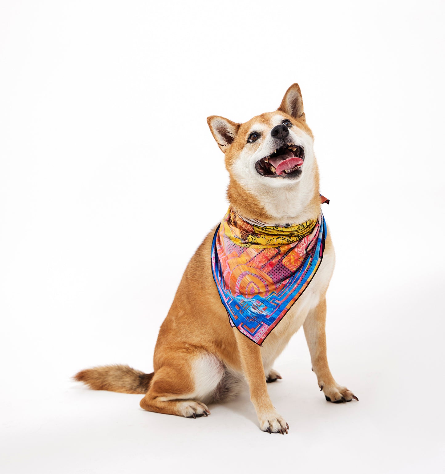 S.h.I.b.a I.n.u Bandana