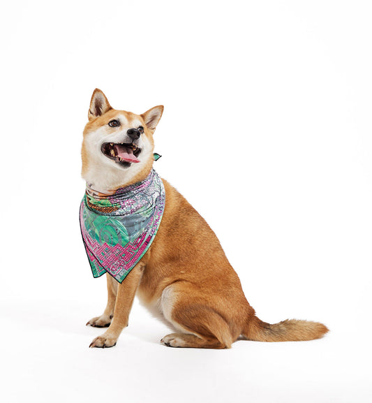 PLEASE HODL Bandana