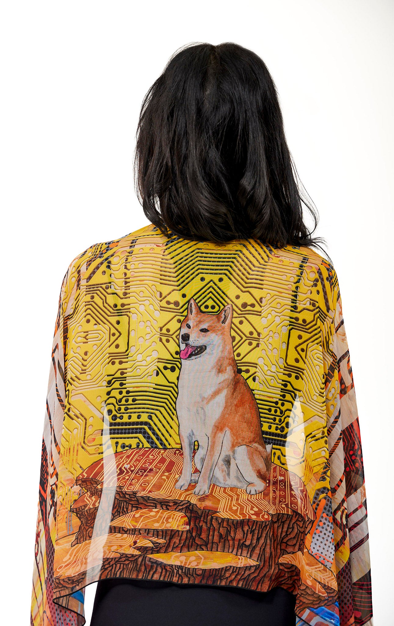S.h.i.b.a I.n.u. Pashmina